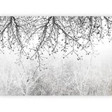 Artgeist Fototapeta Natural Brightness, 200x140cm | Shoptok.si