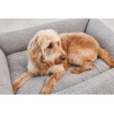MiaCara siva bouclé podloga za pse 71x91 cm senso pebble m | Shoptok.si