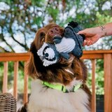 Play Pasja igrača Racoon – | Shoptok.si