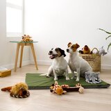 Love Story Igrača za pse Elephant – | Shoptok.si