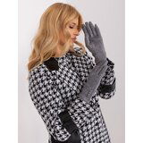 Fashion Hunters Women's Dark Grey Touch Gloves Cene