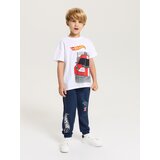 Sinsay Donji dio trenirke loose jogger Hot Wheels | shoptok.hr