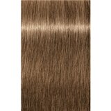 Schwarzkopf IGORA Royal boja za kosu nijansa 8-00 Light Blonde Natural Extra 60 ml | shoptok.hr