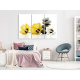  Slika - Calm Mallow (3 Parts) Yellow 90x60 | shoptok.hr