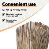 vidaXL Vrtna ograda 600x100 cm Reeds Prirodni bambus Bambus 180 x 300 cm Cijene