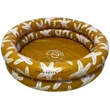 bazen, 60cm sea stars