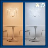 Wiz Filament pametna žarnica z žarnico E14, 5 W – | Shoptok.si