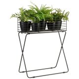 Modern Living Lonček Za Cvetlice Black Times I -Paz- | Shoptok.si