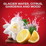 Old Spice Sport Power & Captain Gym Set darilni set | Shoptok.si