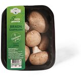 Maxi pijaca Sampinjon braon domaci 200g | ePonuda.com