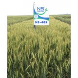  Semenska pšenica ns 40s | ePonuda.com