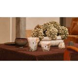 Baobab Collection Leaves Naïs mirisna svijeća 1000 g | shoptok.hr