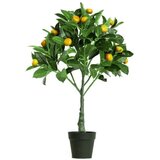 Dekordom drvo kumquat n55 - 70cm ( 025085 ) | ePonuda.com