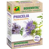 Facelija - čebelam prijazno zeleno gnojilo - 300 g | Shoptok.si