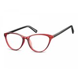 Berkeley Naočare CP127A | ePonuda.com