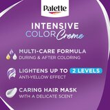 Schwarzkopf Palette Intensive Color Creme permanentna barva za lase odtenek (C9) 9.5-1 Silver Blond 1 kos | Shoptok.si