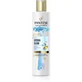 Pantene Pro-V Miracles Hydra Glow vlažilni šampon za suhe in poškodovane lase 250 ml