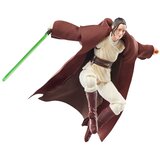 Hasbro Vojna zvezd: Akcijska figura Acolyte Black Series Jedi mojster Indara 15 cm, (5000077777) | Shoptok.si