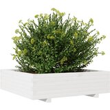  Vrtna sadilica bijela 90x90x26,5 cm od masivne borovine | shoptok.hr