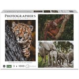 Ambassador Wildlife Families 3x 1000 Pieces (Donal Boyd) Cijene