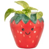 Sass & Belle Keramičen okrasni cvetlični lonec ø 10 cm Strawberry – | Shoptok.si