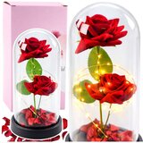  Vječne 2 ruže u kupoli s LED rasvjetom i crvenim laticama ruže 21x11cm | shoptok.hr