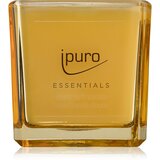 IPURO Dišeča sveča Ipuro ESSENTIALS Soft Vanilla (125 g) | Shoptok.si
