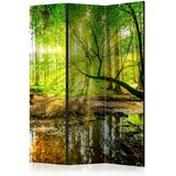 Artgeist PARAVAN 135/172/3 cm rumena, zelena | Shoptok.si