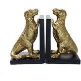 Schafer Schäfer 2-dijelni Dinosaur Bookend Set, 25.5 x 19.5 cm, Dino | shoptok.hr