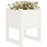 Sadilice 2 kom bijele 40 x 40 x 52,5 cm od masivne borovine | shoptok.hr