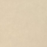 vidaXL Flis za biljke 70 g/m² 50 x 1 6 m | shoptok.hr