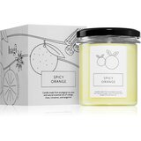 Hagi Spicy Orange mirisna svijeća 230 g | shoptok.hr