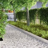  Ograda oko Travnjaka 4 pcs Srebrno 450 x 0.05 x 15 cm | shoptok.hr