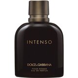 Dolce & Gabbana Pour Homme Intenso EDP 40 ml | shoptok.hr
