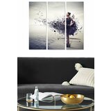 Wallity MDF121246546 multicolor decorative mdf painting (3 pieces) Cene