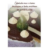 Avrora torte - alma rekić | Shoptok.si