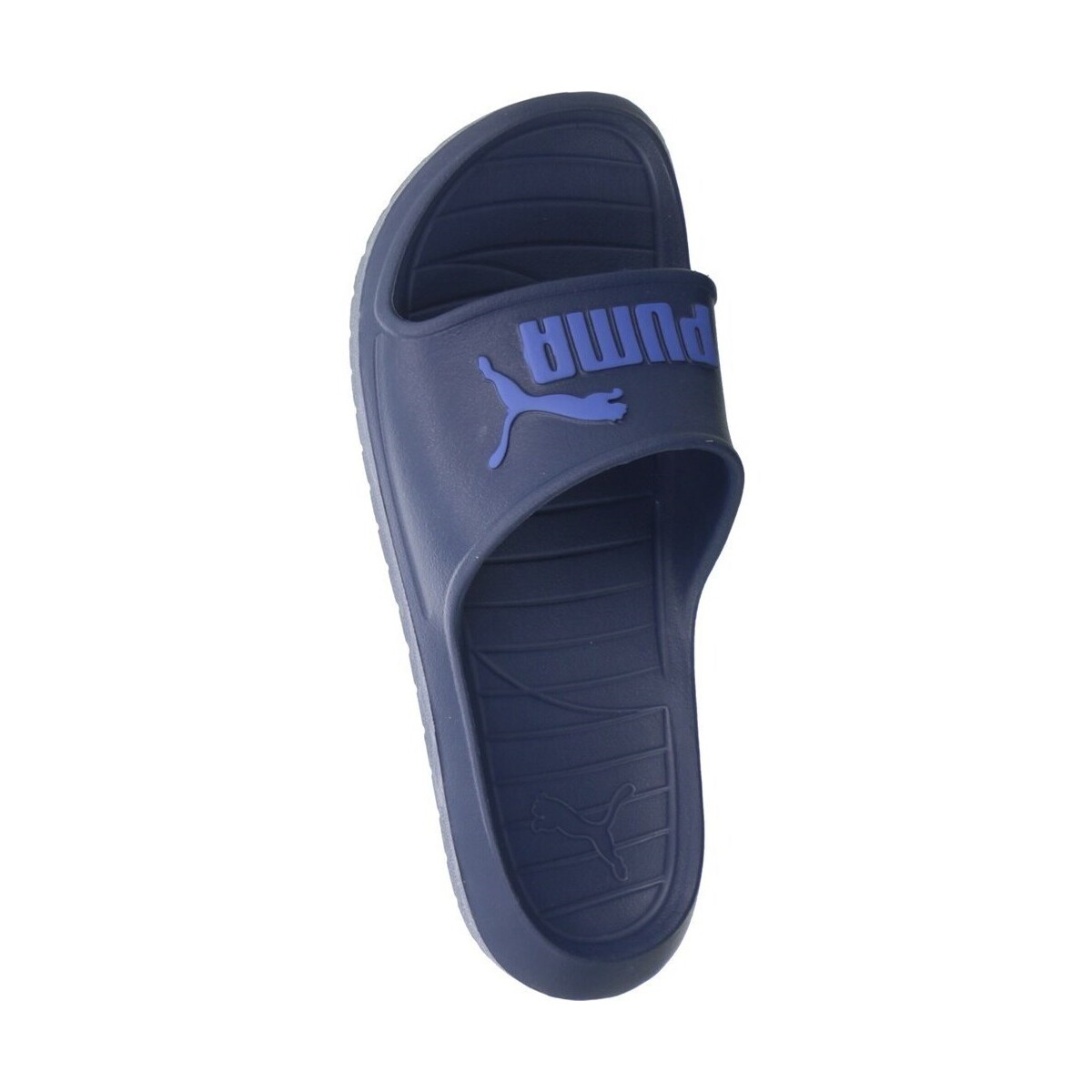 Puma Japonke Divecat V2 pisana | Shoptok.si