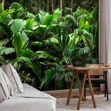  Foto tapeta - Freshness of the Jungle 350x256 | shoptok.hr