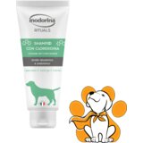 Inodorina clorex 250ml, Šampon Za Pse Za Duboko Čišćenje | ePonuda.com