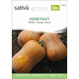 Sativa Buča Honeynut Cene
