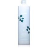 EchosLine Frequent use Shampoo šampon za vsakodnevno umivanje las 1000 ml Cene