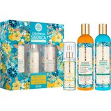 Natura Siberica Sea-Buckthorn kozmetički set I. za žene | shoptok.hr