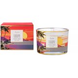 Widdop & Co. The Wax Company - Sveća - The Wax Company, Chasing Sunsets, 3 Wick, 369g Cene