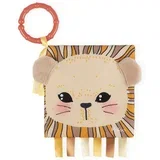 aktivnostna knjigica the curious lion