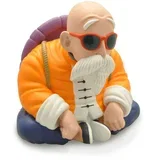 Kasica - Master Roshi