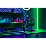 Razer Gaming mikrofon Seiren V2 X black RZ19-04050100-R3M1 | ePonuda.com