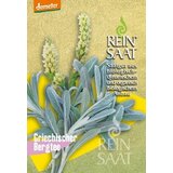 ReinSaat Bio grški gorski čaj Cene
