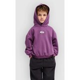 Quiksilver Tricks Boys Kids Hoodie grape jam Cene