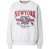 Tommy Jeans Sweater majica 'RLX VINTAGE PREP 2' morsko plava / siva / crvena / bijela