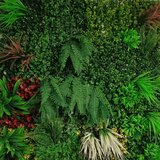  Dekorativno veštačko cveće Zeleni zid M52, 1m² Cene